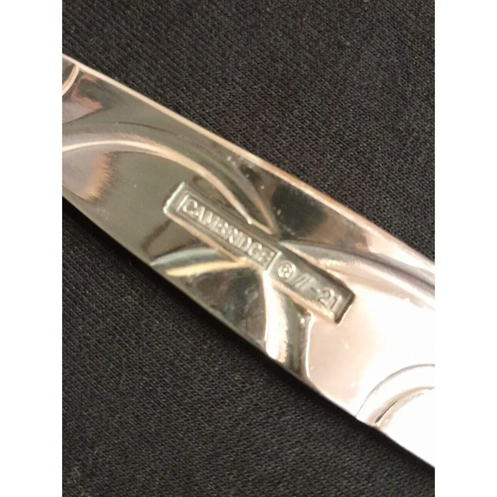 Cambridge Conquest Sand  Serving Spoons Fork Butter Knife Stainless Steel 11-21